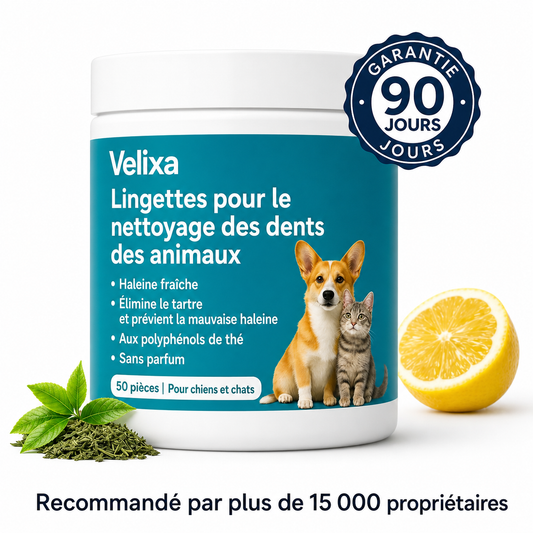 Lingettes dentaires Velixa