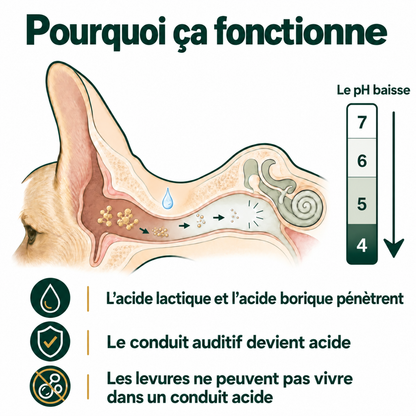 Nettoyant pour les oreilles des chiens et des chats