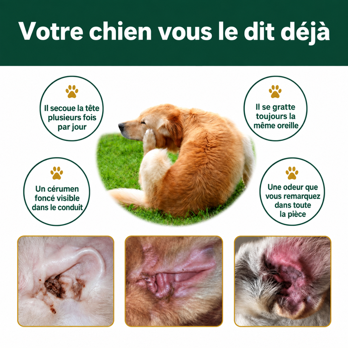 Nettoyant pour les oreilles des chiens et des chats