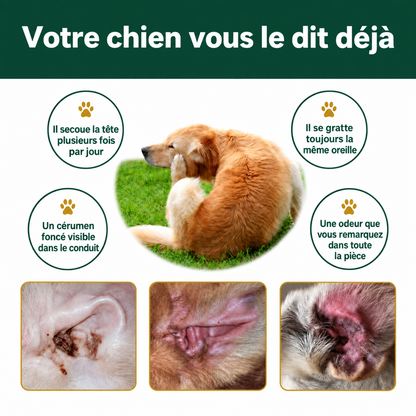 Nettoyant pour les oreilles des chiens et des chats