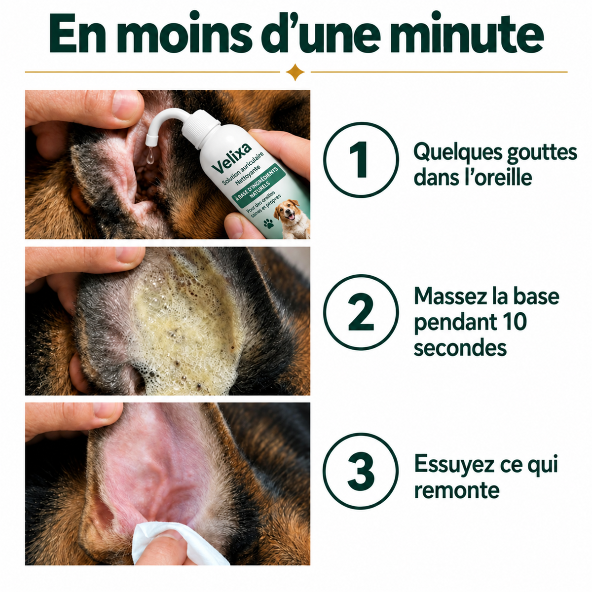 Nettoyant pour les oreilles des chiens et des chats