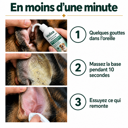 Nettoyant pour les oreilles des chiens et des chats