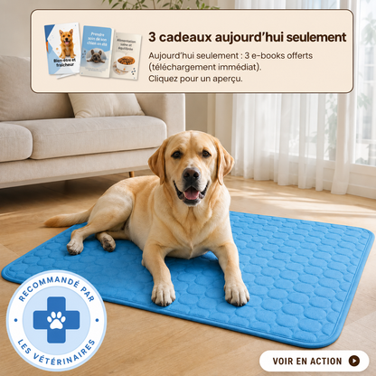 Tapis chien