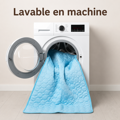 Tapis chien