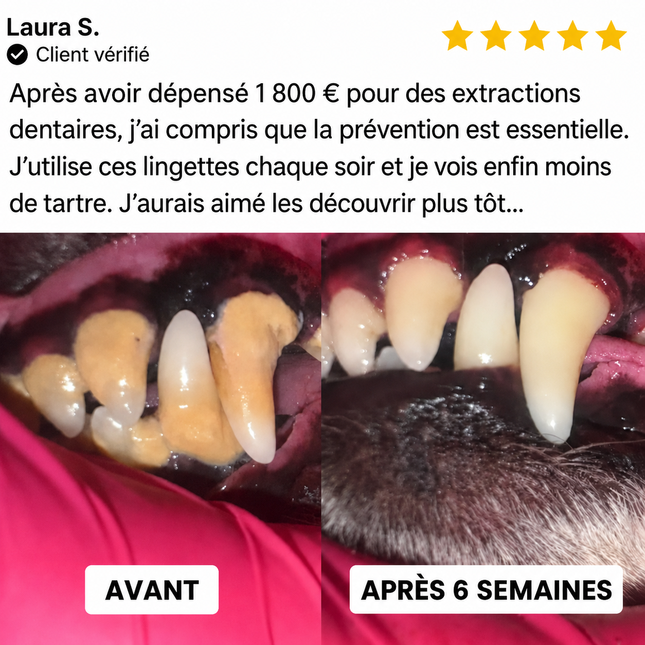Lingettes dentaires Velixa