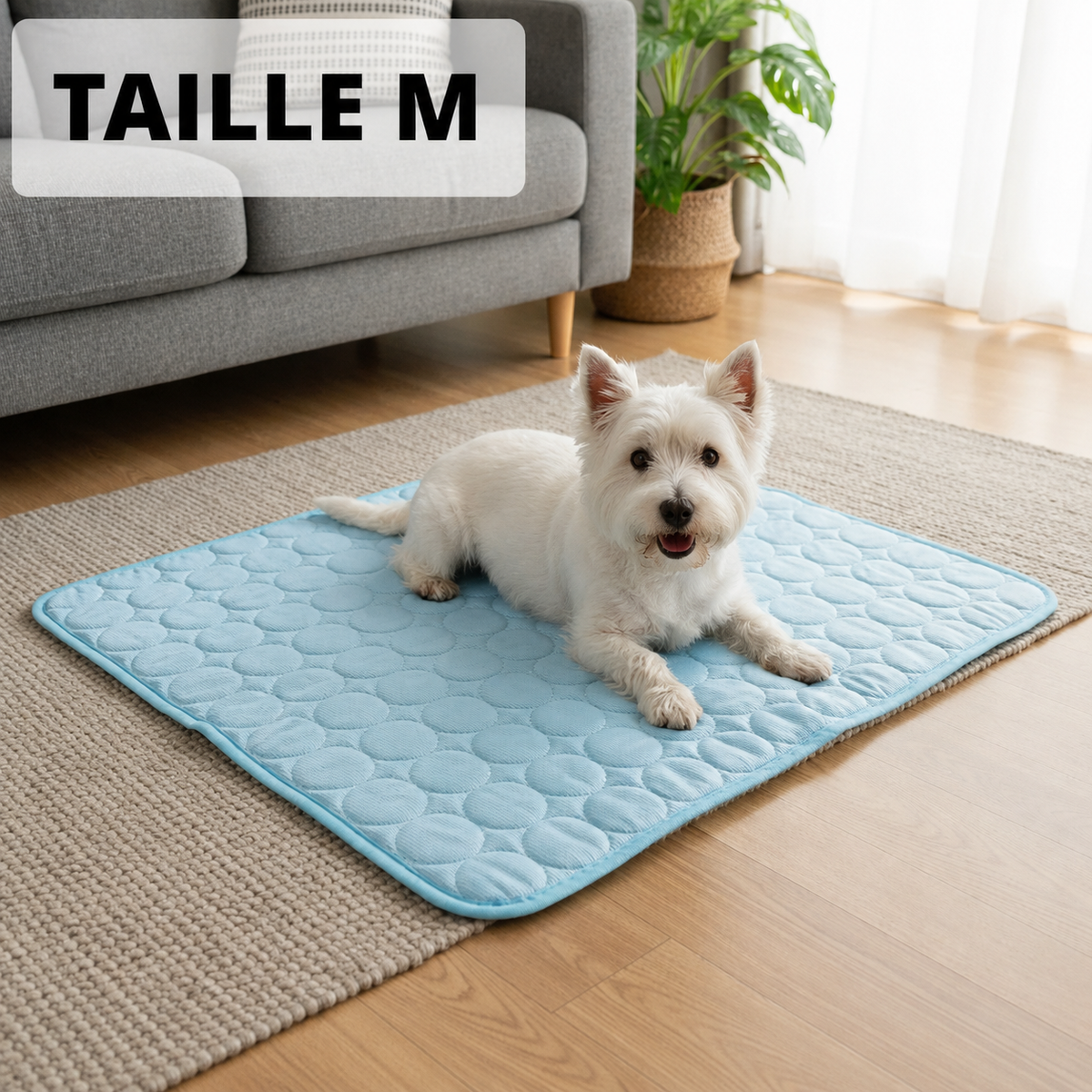 Tapis chien