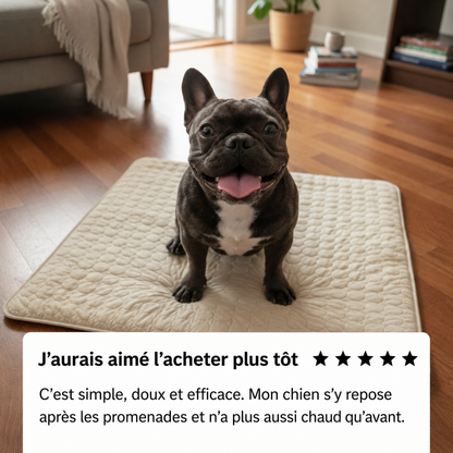 Tapis chien
