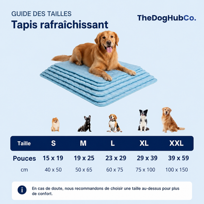 Tapis chien