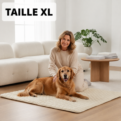 Tapis chien
