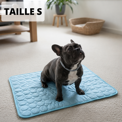 Tapis chien
