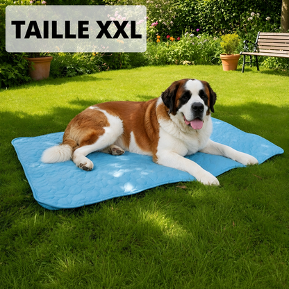 Tapis chien