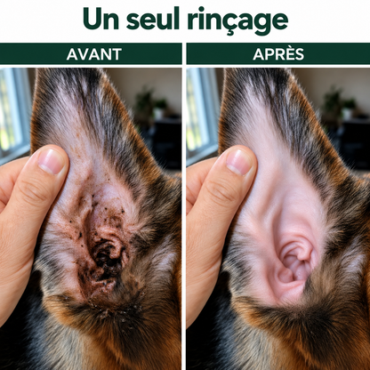 Nettoyant pour les oreilles des chiens et des chats