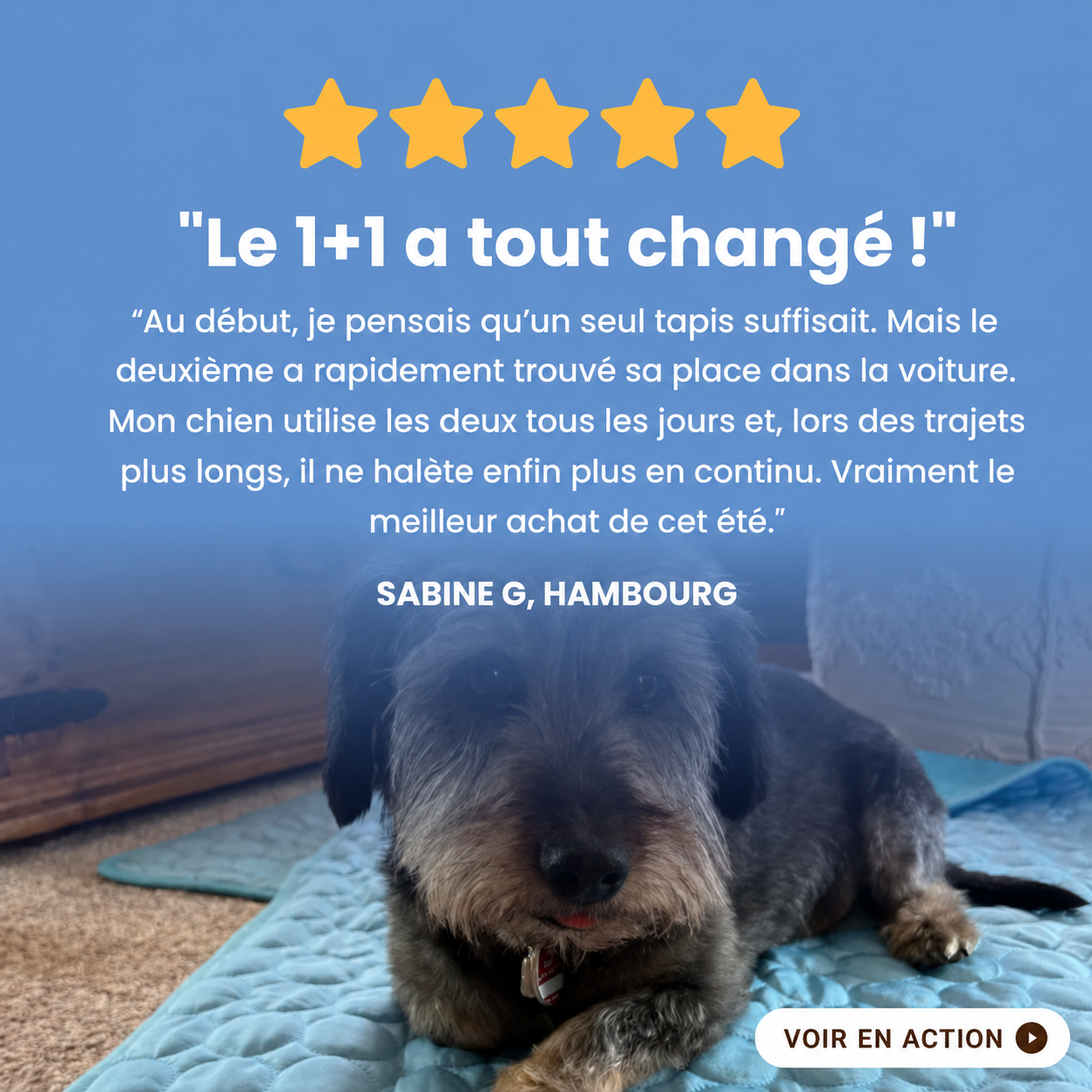 Tapis chien