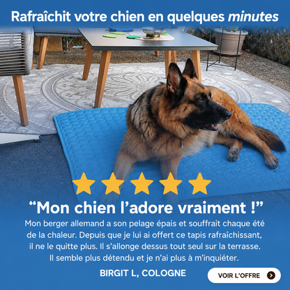 Tapis chien