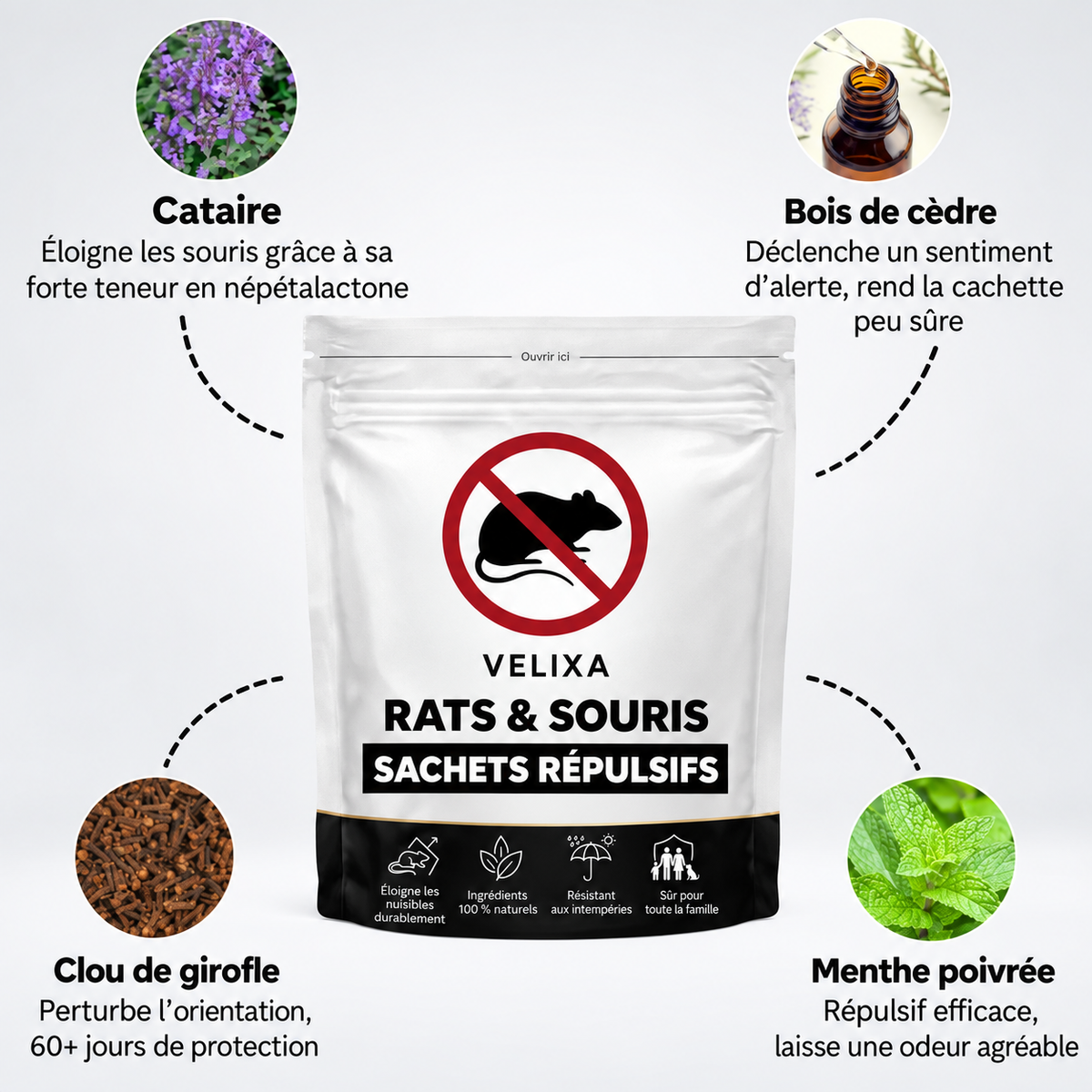 Plus aucune souris chez vous en 2 semaines.