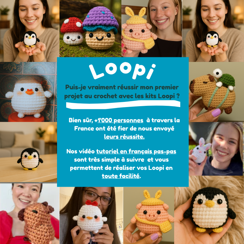 Les compagnons Loopi