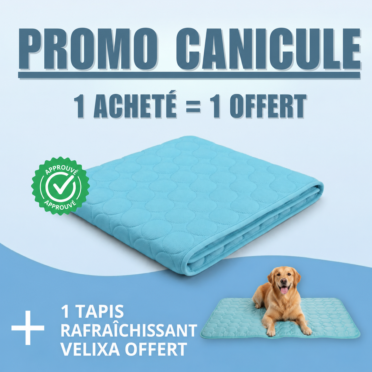 Tapis chien