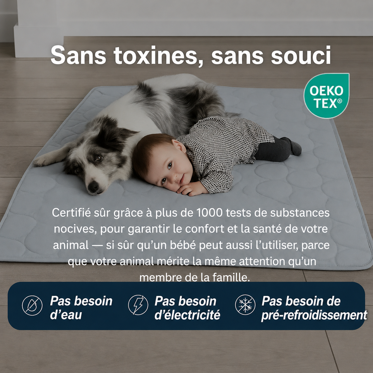 Tapis chien