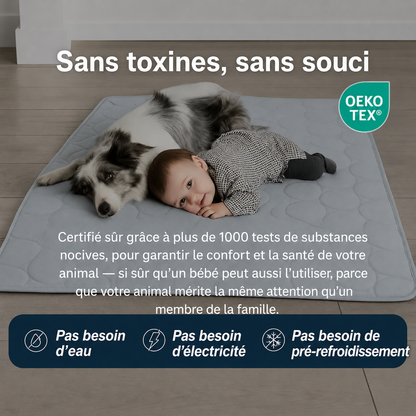 Tapis chien