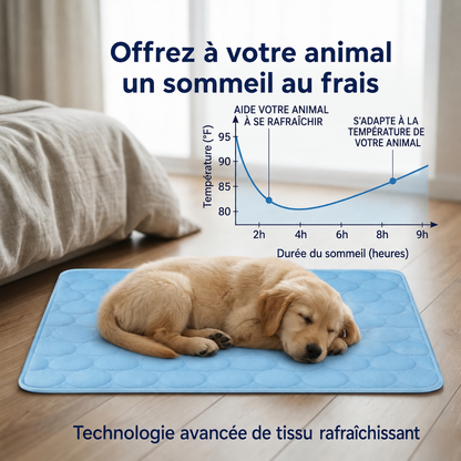 Tapis chien