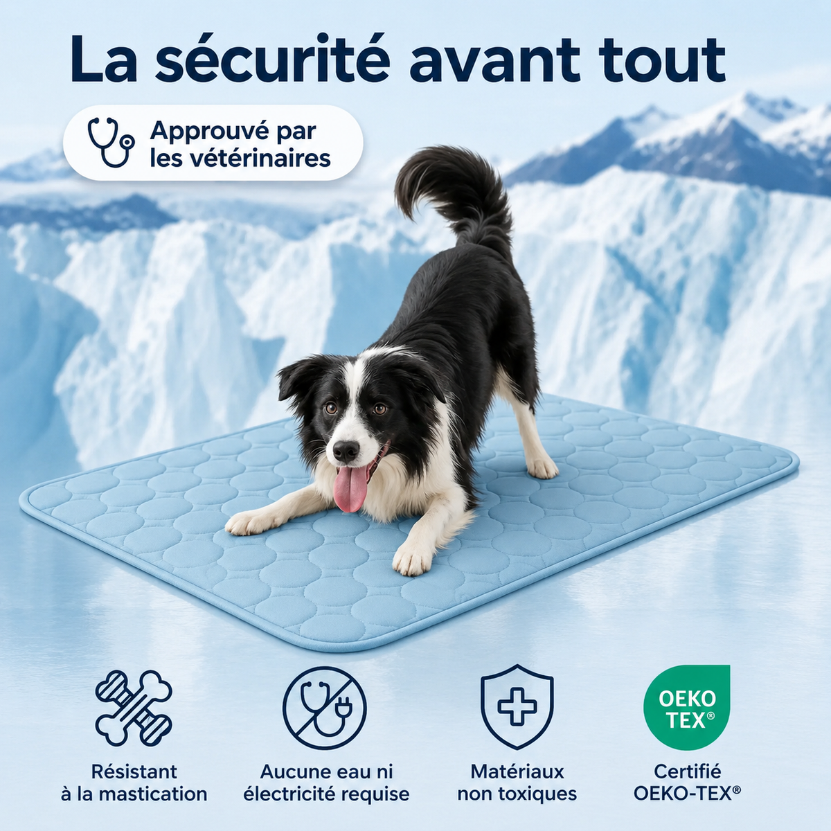Tapis chien