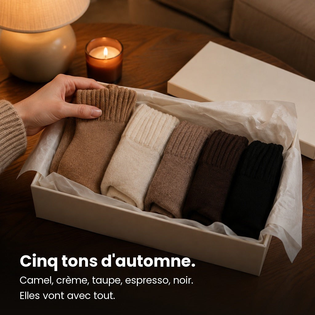 Cinq tons d'automne