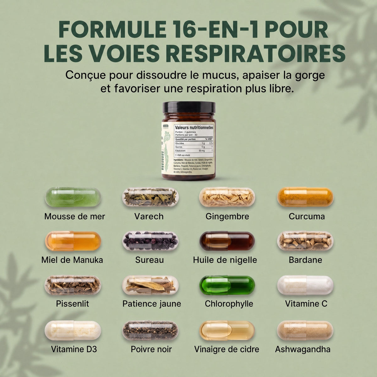Formule 16-en-1 voies respiratoires